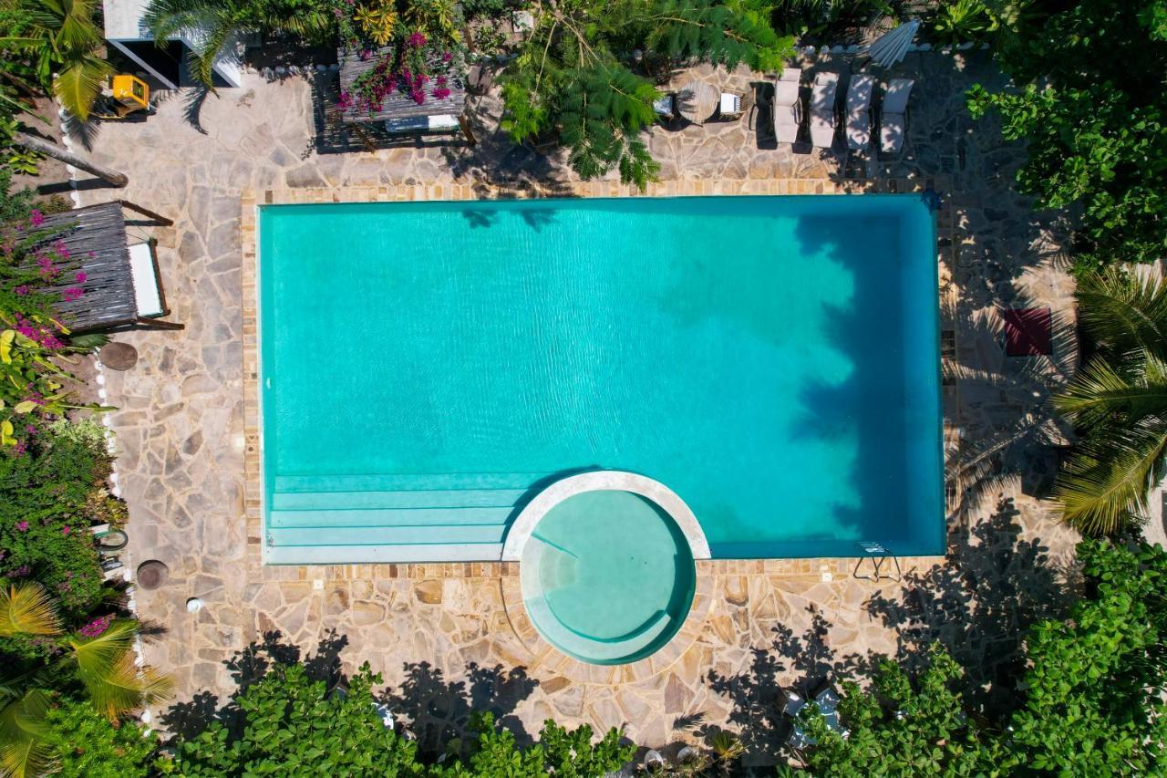 Hotel Tropical Oasis Boutique Michamvi