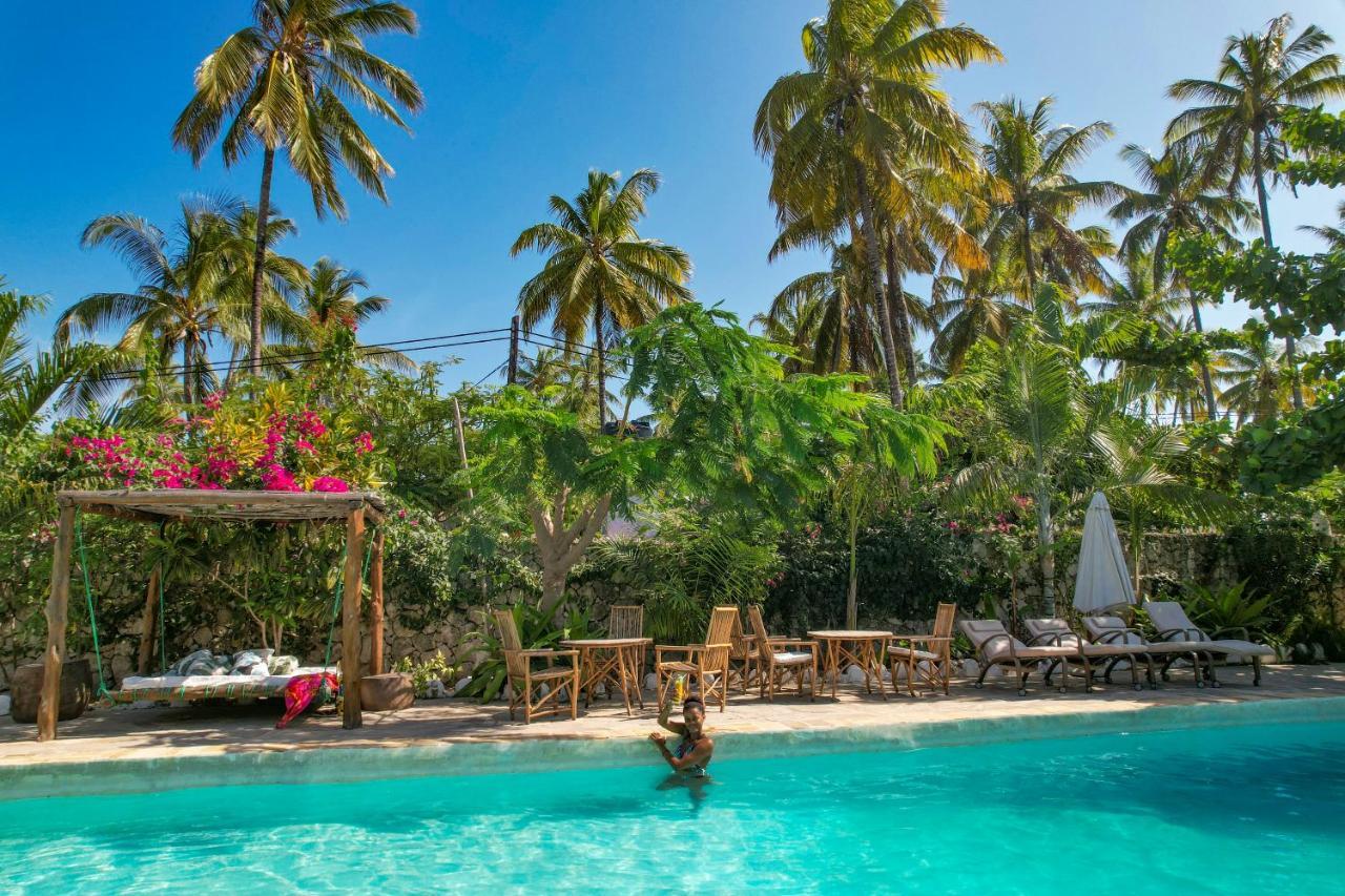 Hotel Tropical Oasis Boutique