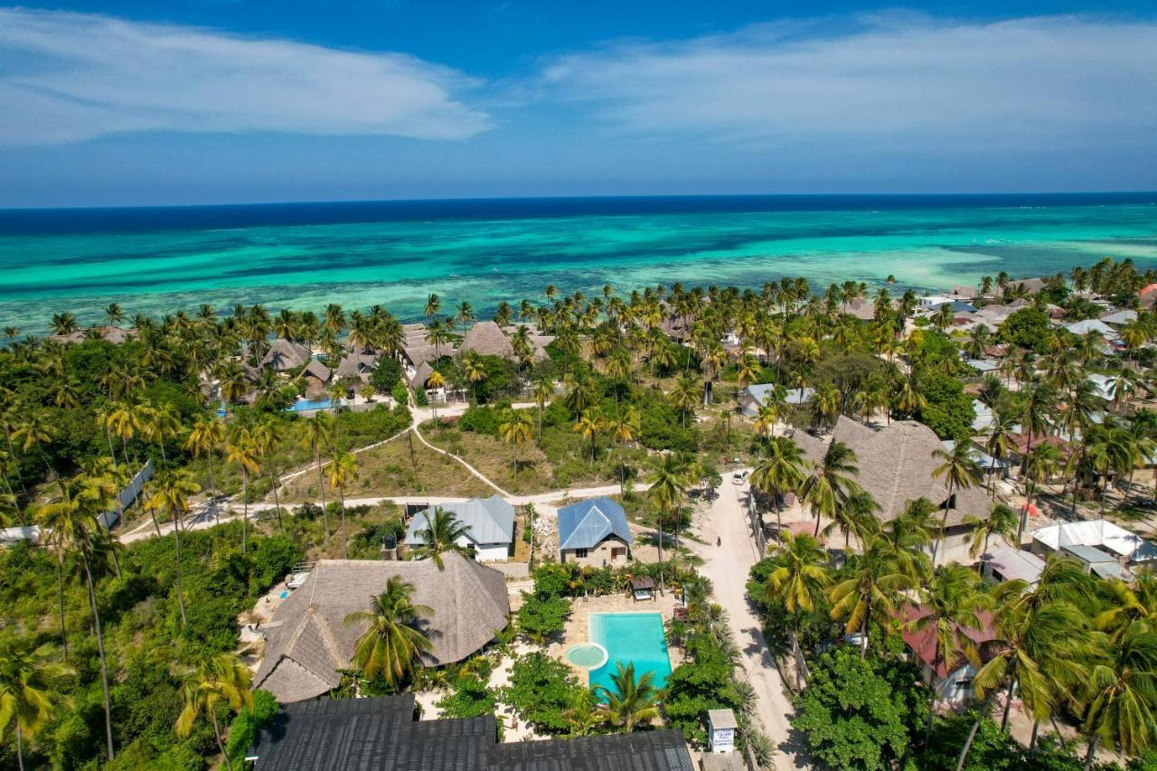 Tropical Oasis Boutique Michamvi