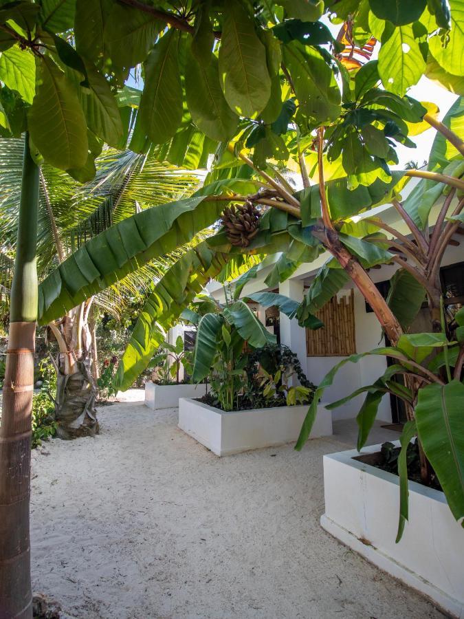 Tropical Oasis Boutique Michamvi