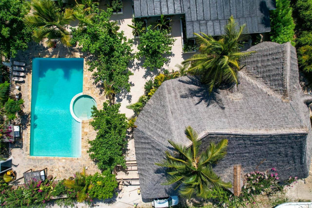 Tropical Oasis Boutique Hotel